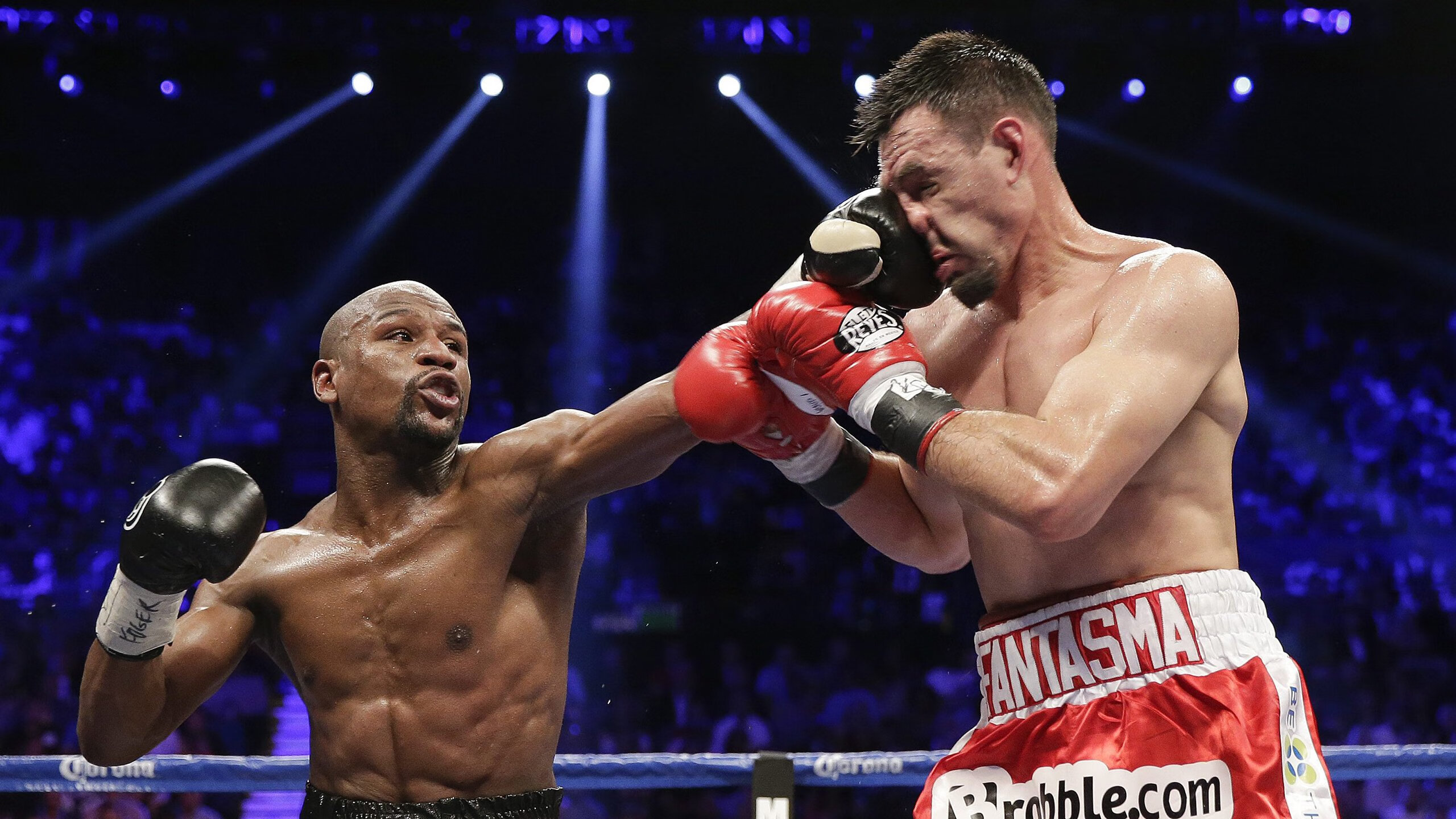 开云app-巴哈马举办全民健身嘉年华,巴哈马国家公园