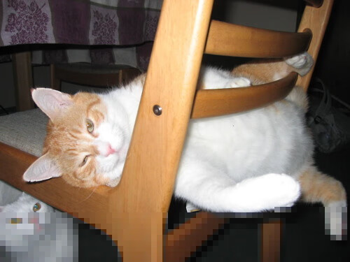 开云体育在线入口-五大联赛是否提倡中前场球员持球强度训练应对逼抢，足球中场前锋