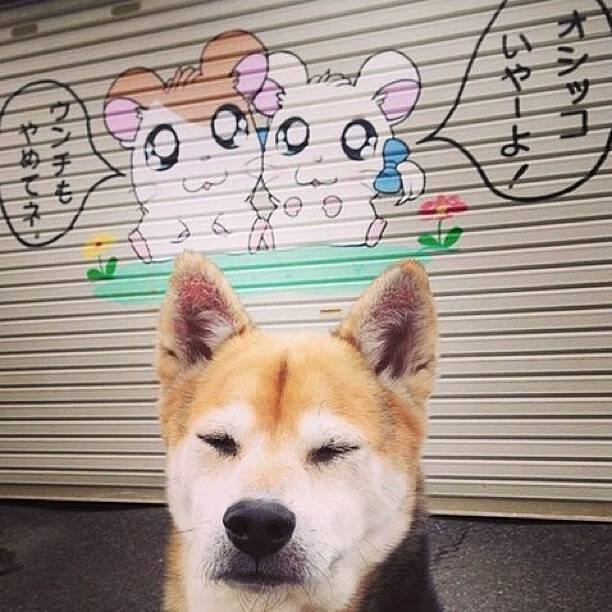 开云app-全国定向越野锦标赛开启热血赛程，定向越野比赛时间