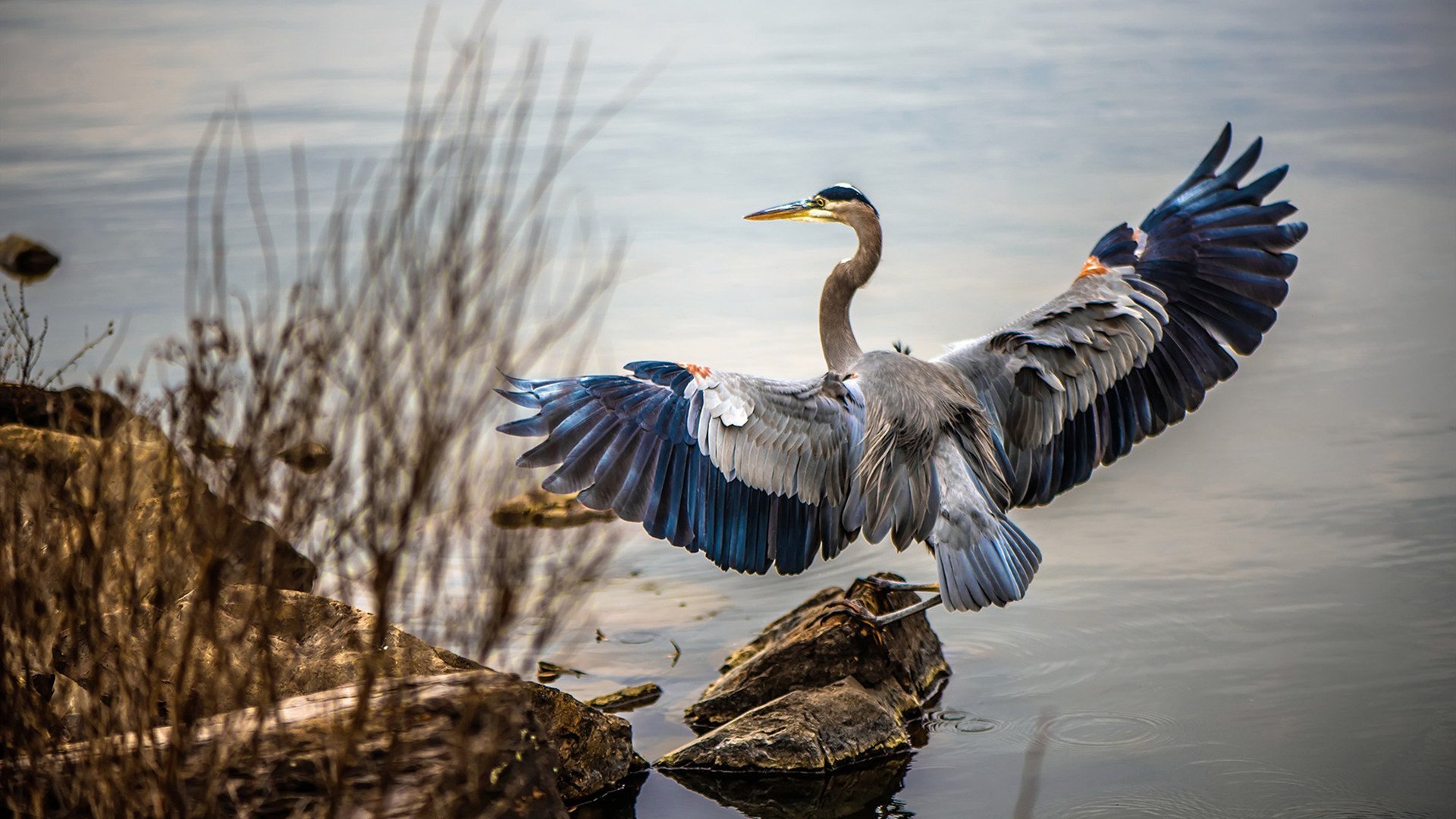 开云体育app下载-内线传球配合是否决定禁区得分效率，内线接球技巧