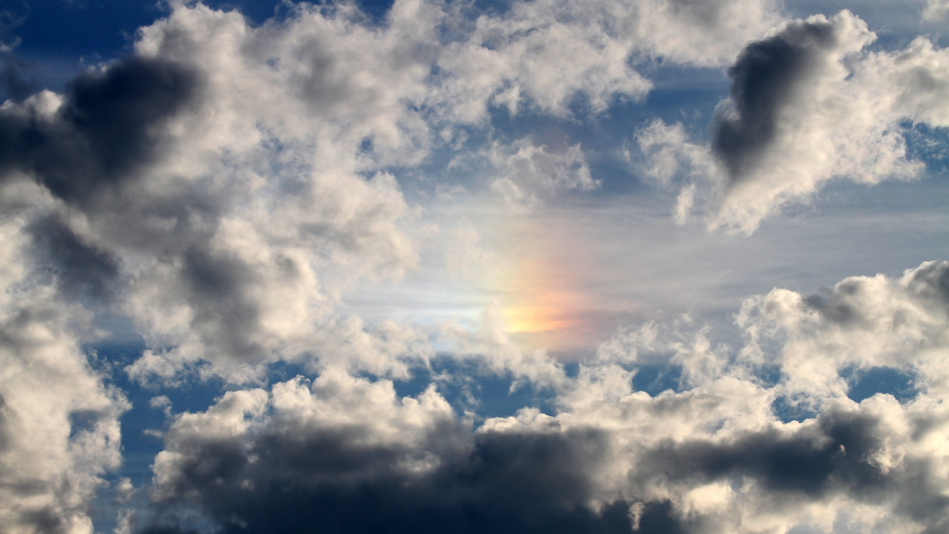 勒沃库森连续组织快速攻势突破防线,勒沃库森厉害吗