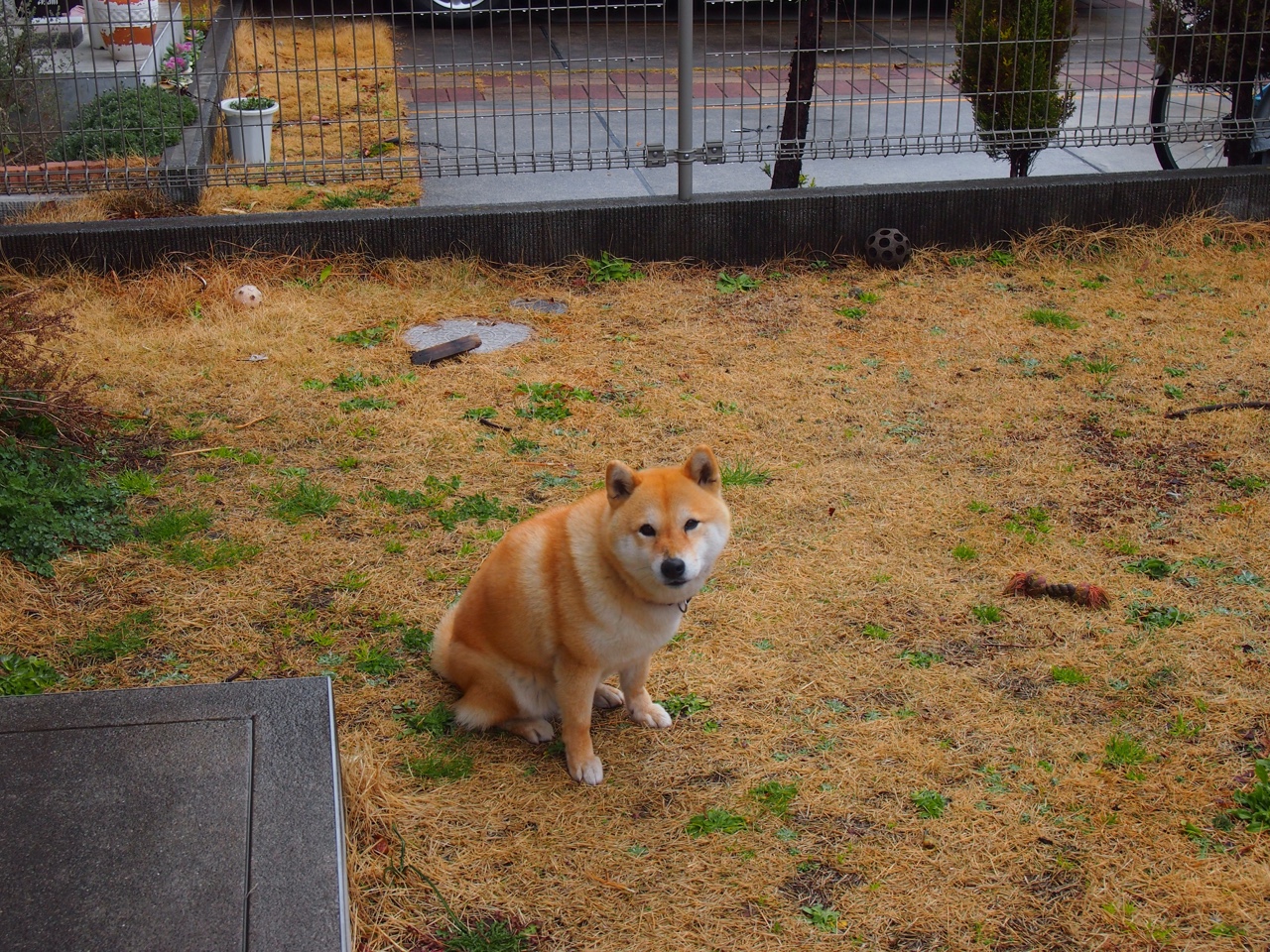 国家男子足球队训练基地全面升级，中国国家男子足球队名册