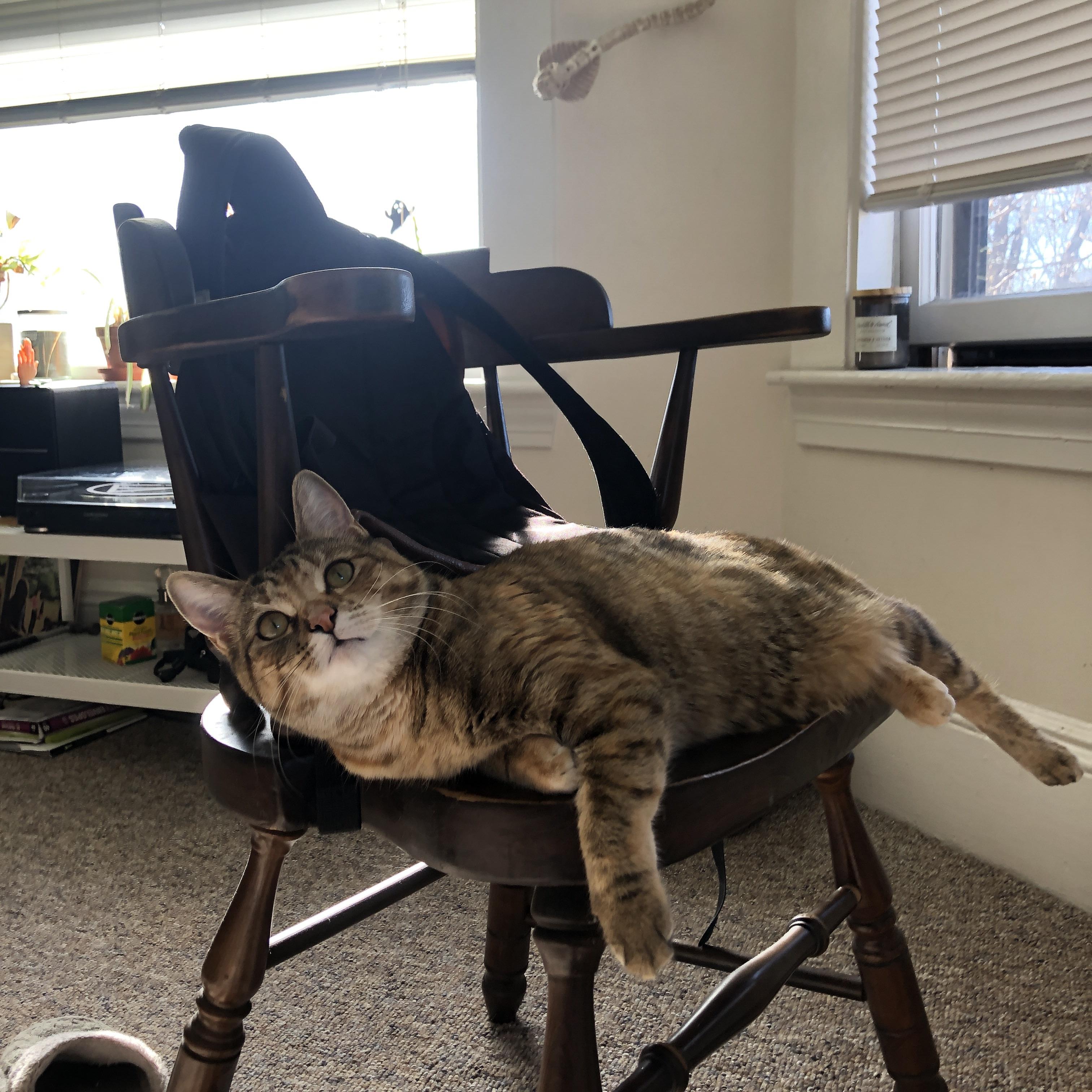 开云体育官网登入-女子冰壶国家队训练营引入新战术模块，女子冰壶国家队名单