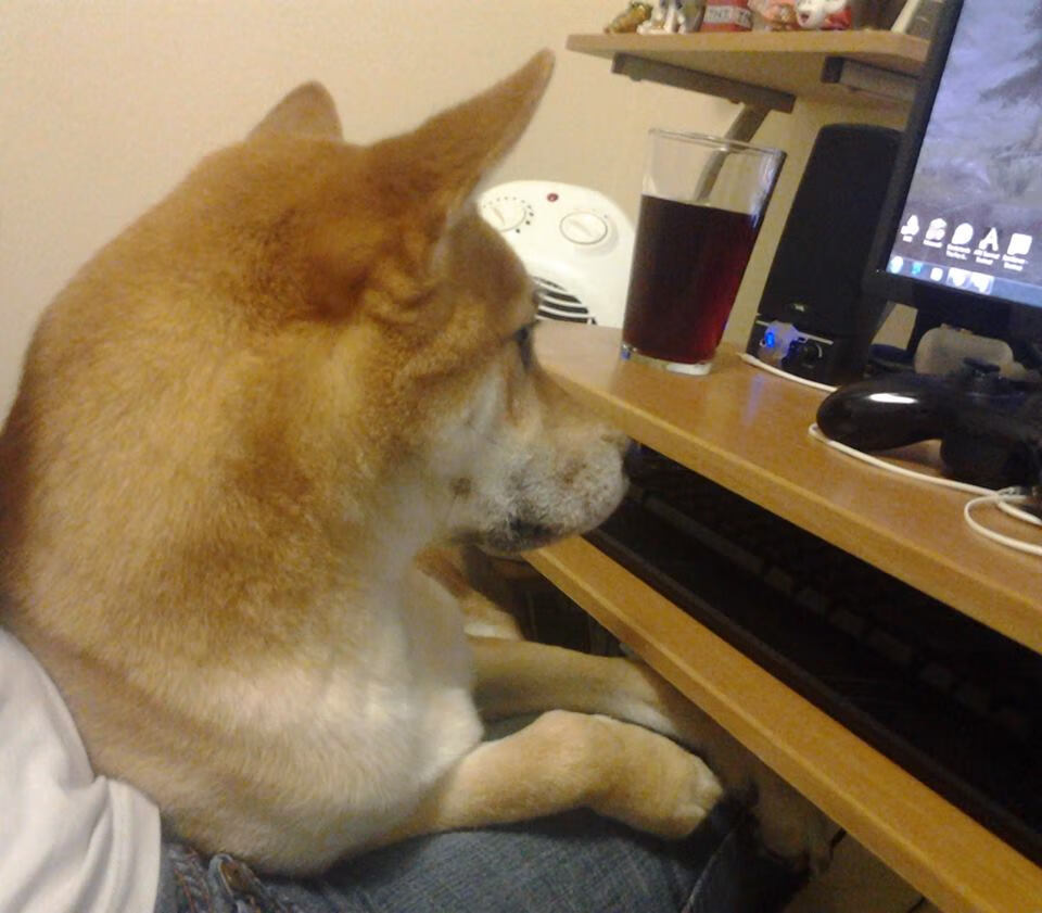 女子冰壶国家队训练营引入新战术模块,女子冰壶国家队名单