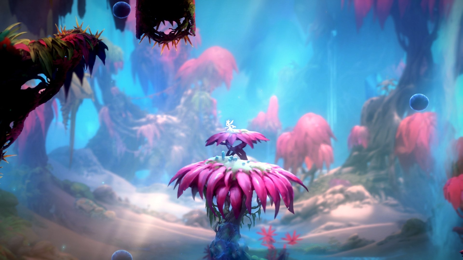 职业球员赛事周期过密影响恢复质量