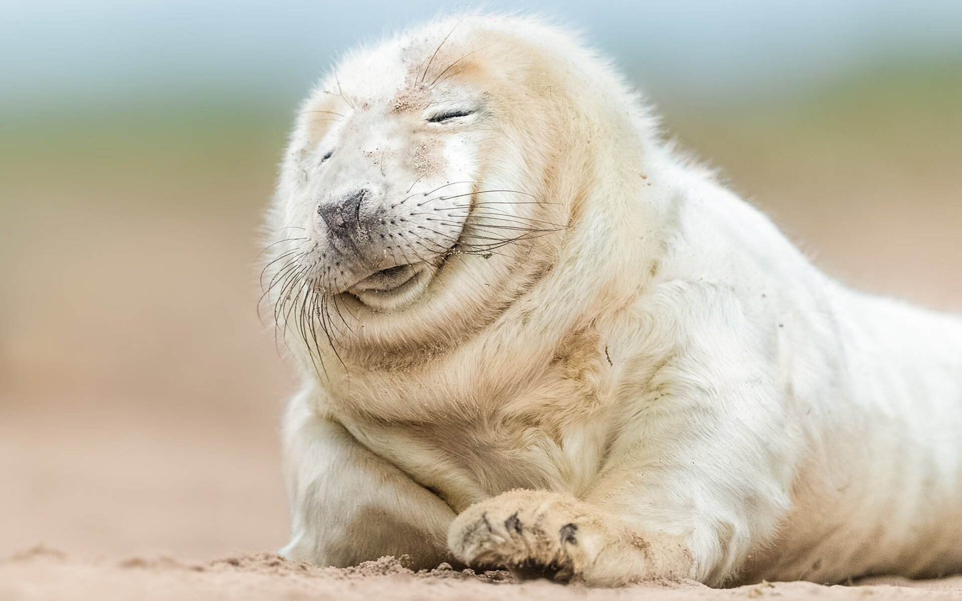 开云ky官网-青少年体操动作编排大赛展现创新思维，青少年体操锦标赛