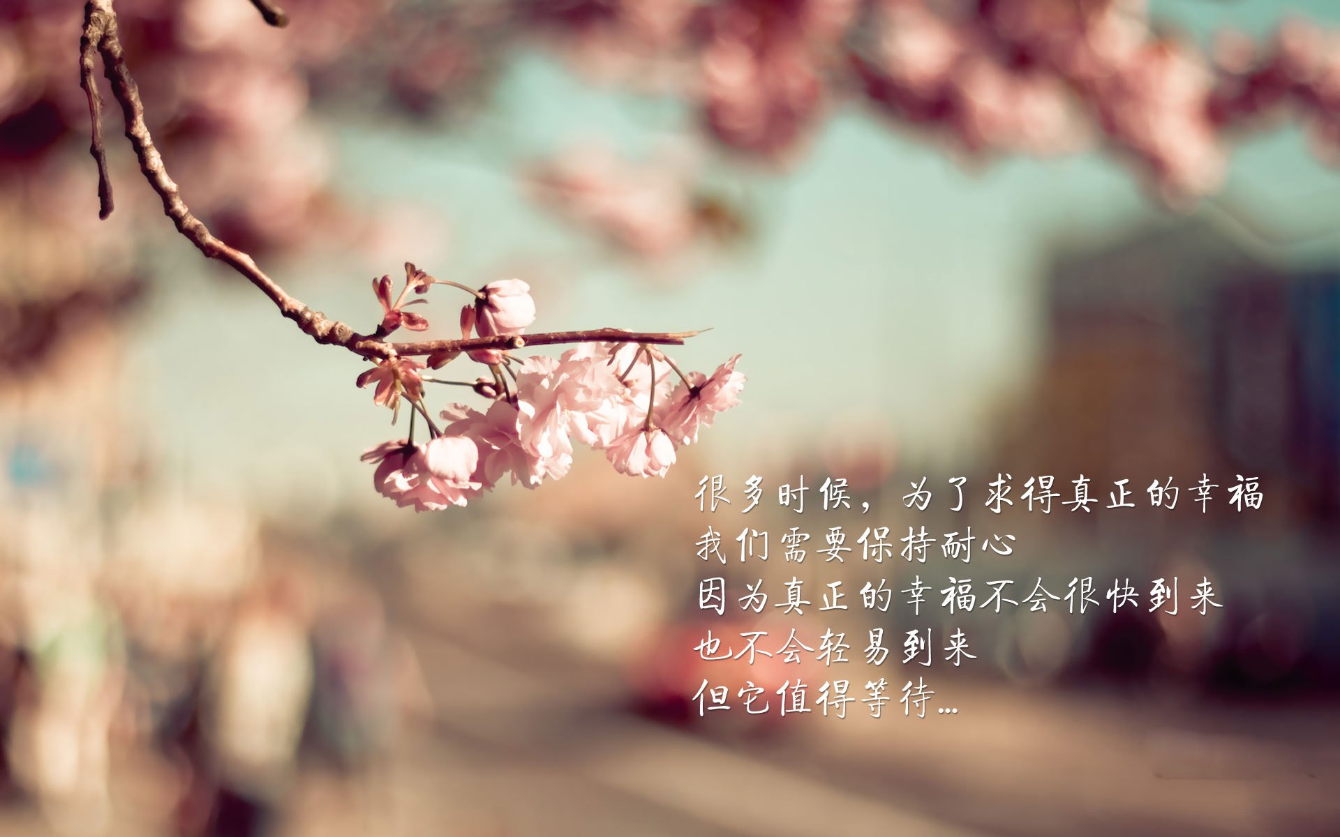 开云体育登录-曹缘赛场表现引发媒体热议，曹缘访谈