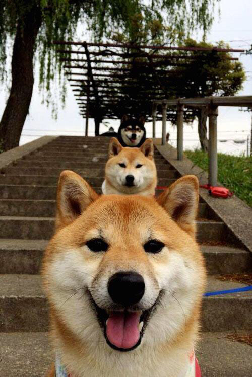 英格兰国家队引进新战术体系,英格兰国家队打法风格