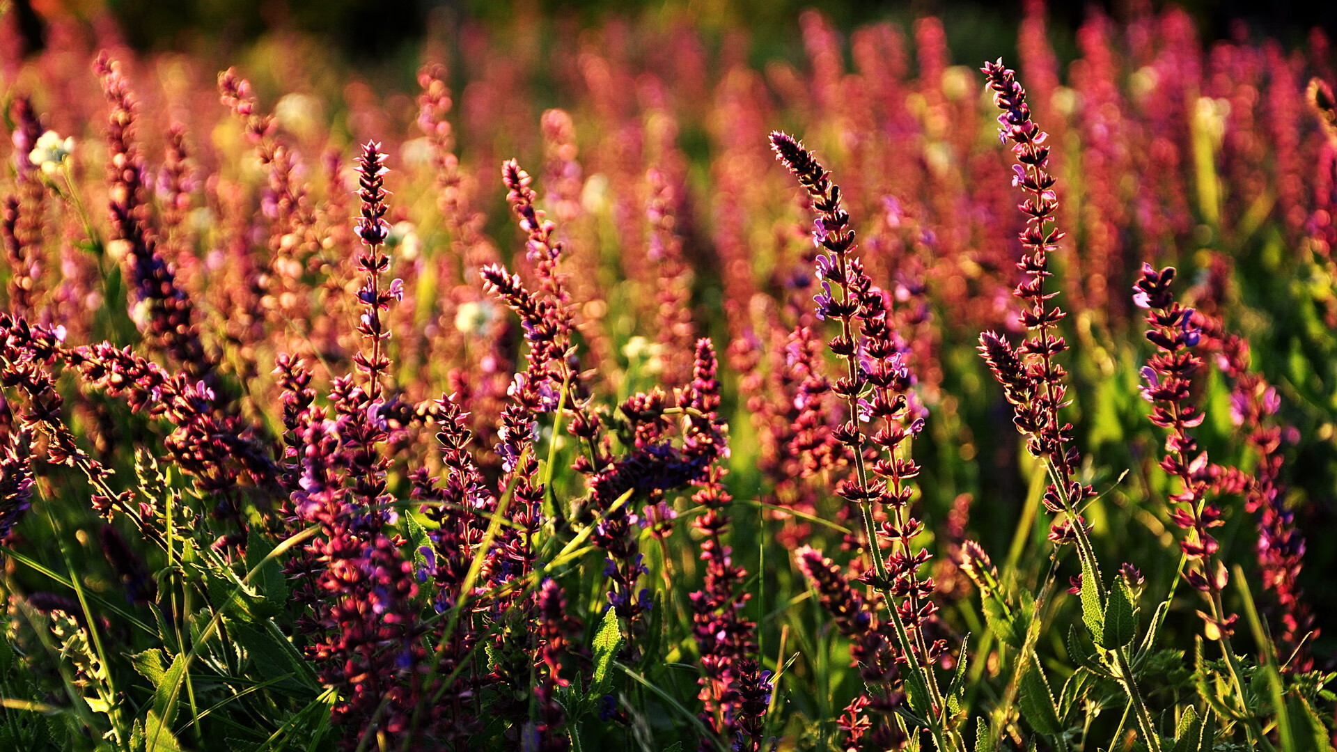 开云体育在线登入-跳水高难动作吉尔吉斯斯坦稳中求胜，地处中亚的吉尔吉斯斯坦有水塔之国