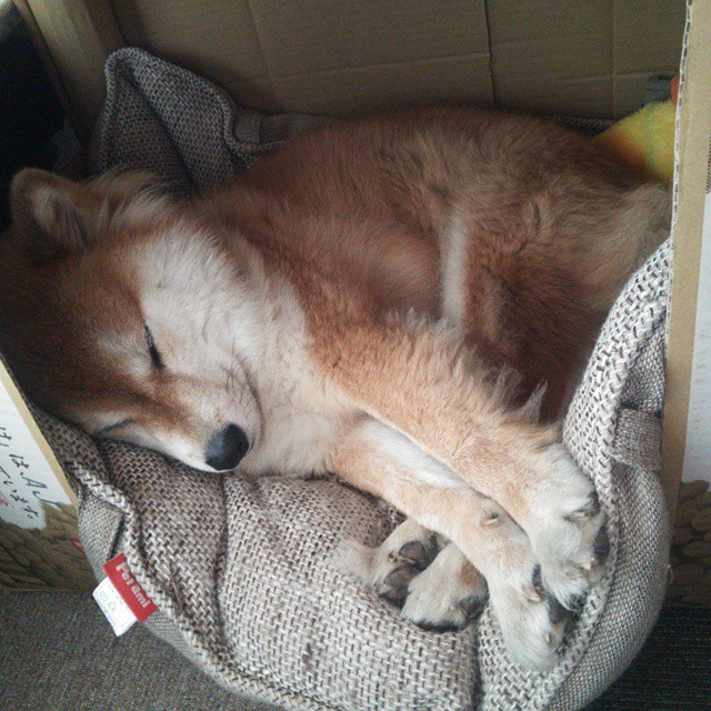 世界排名第五，英国女队持续攀升，英国nvq